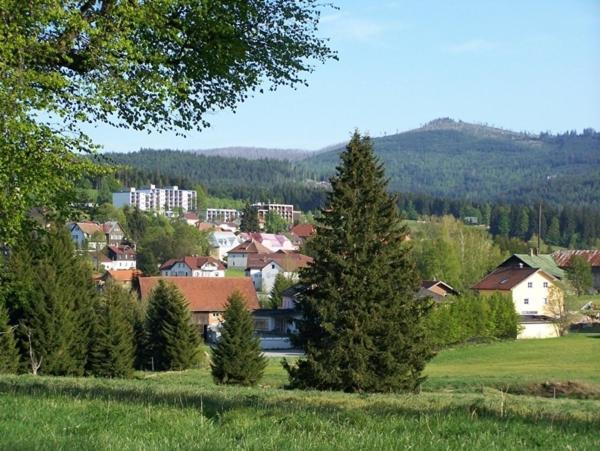 Haus Hochstein Aparthotel Haidmuhle Bagian luar foto